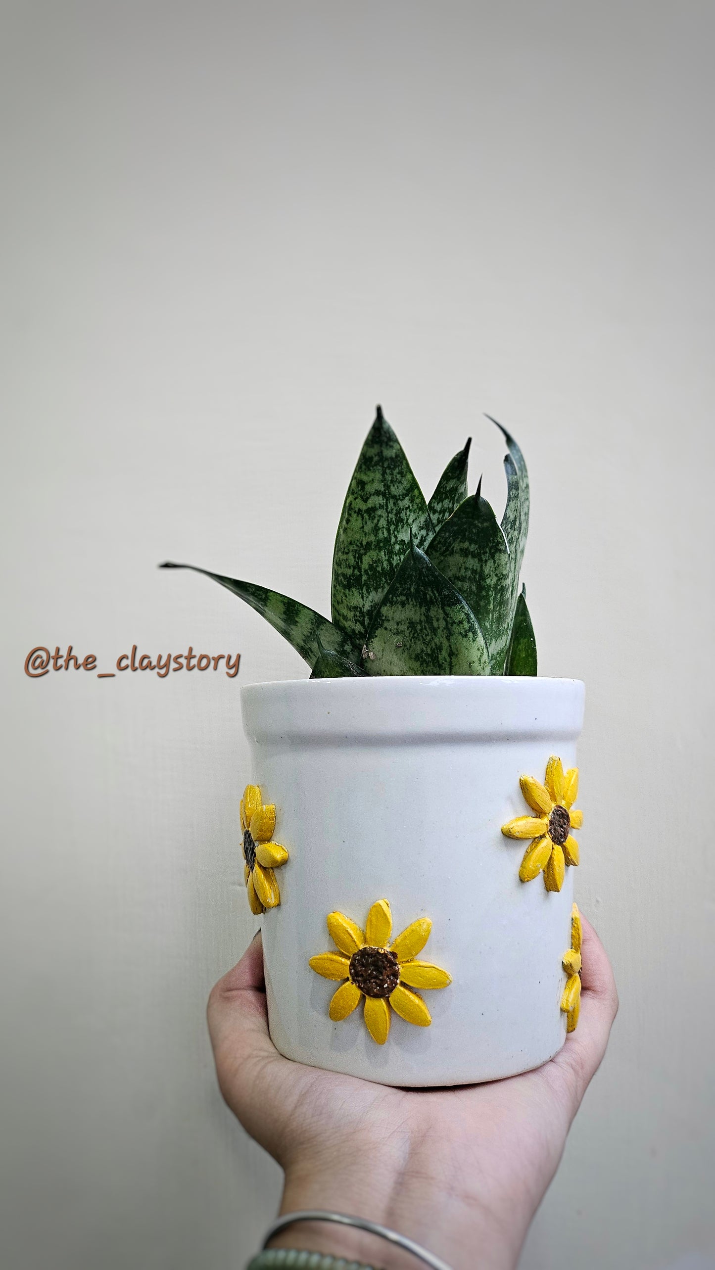 Handmade Clay Planters Online | Aesthetic Plant Pots – The Clay Story | Bizvaro