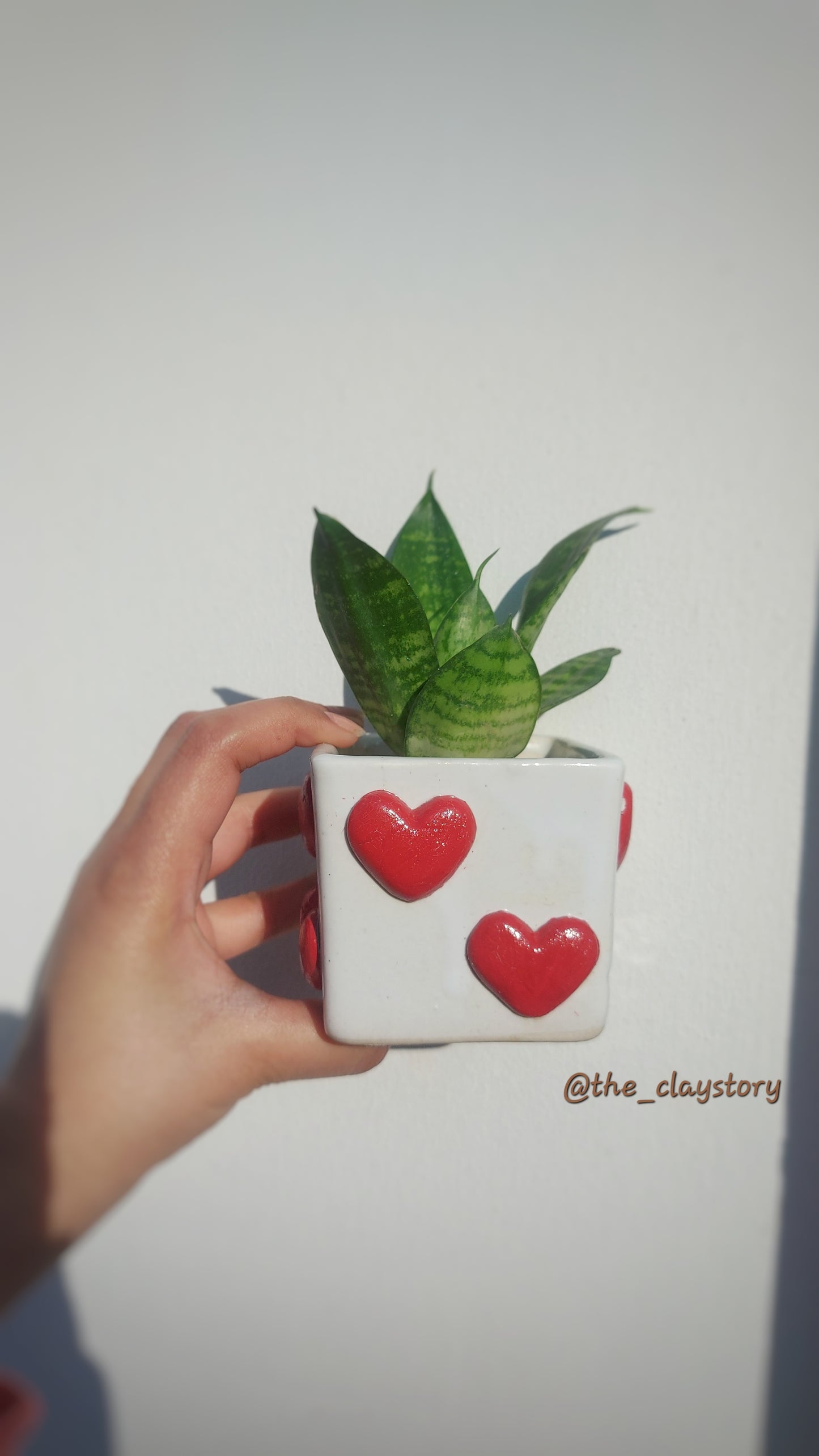 Handmade Clay Planters Online | Aesthetic Plant Pots – The Clay Story | Bizvaro