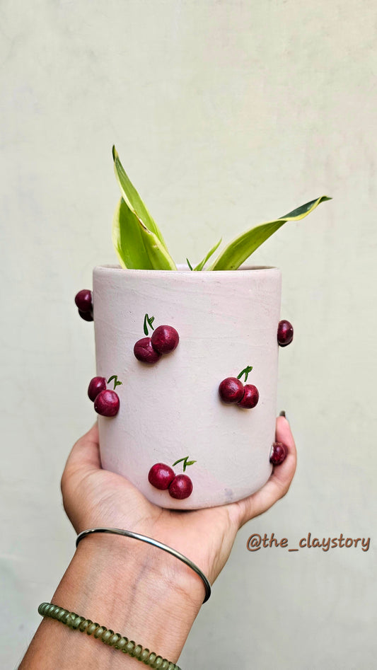 Handmade Clay Planters Online | Aesthetic Plant Pots – The Clay Story | Bizvaro
